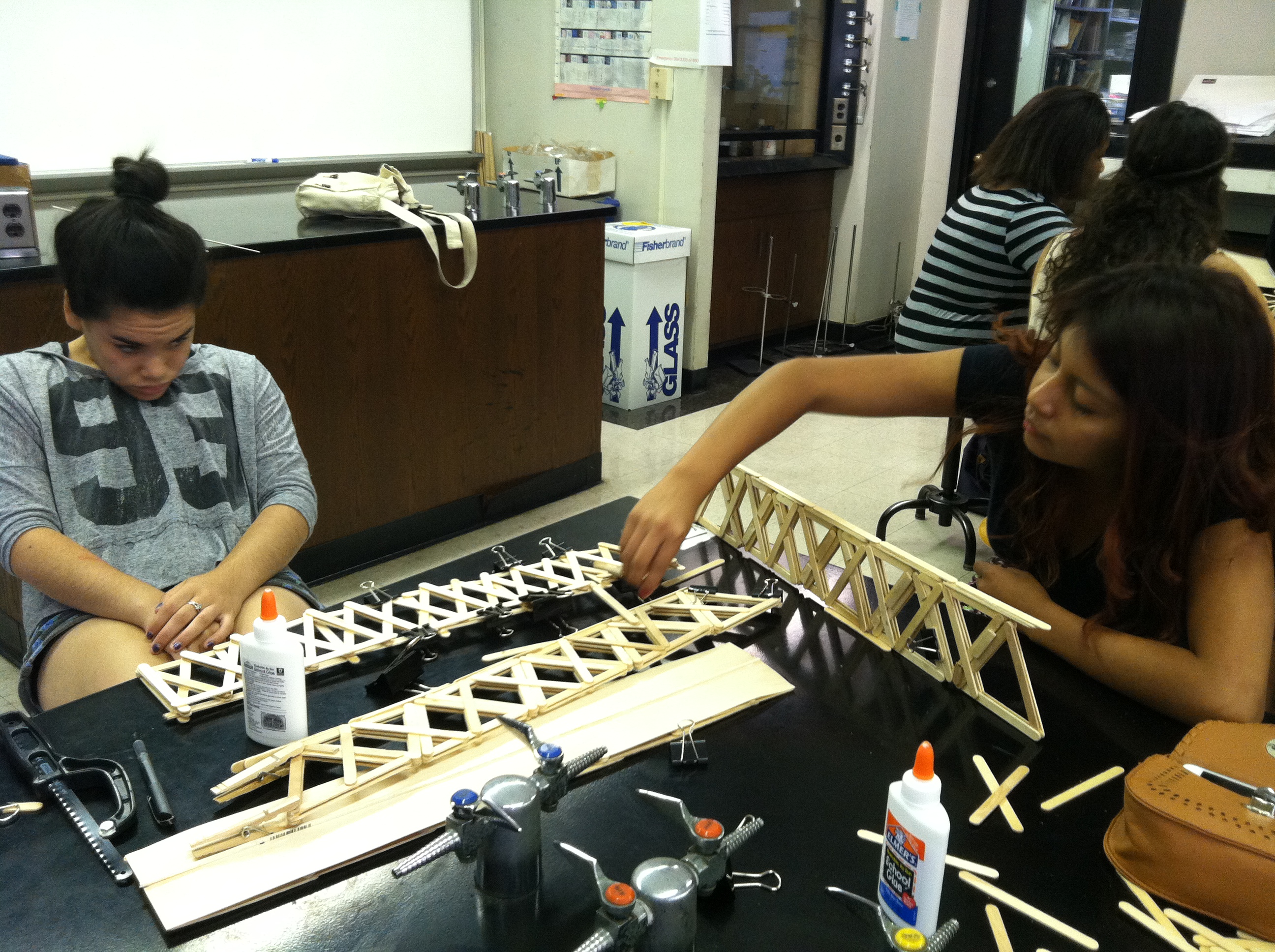 Bridge Building Pictures | Baruch Step Bridges 2013