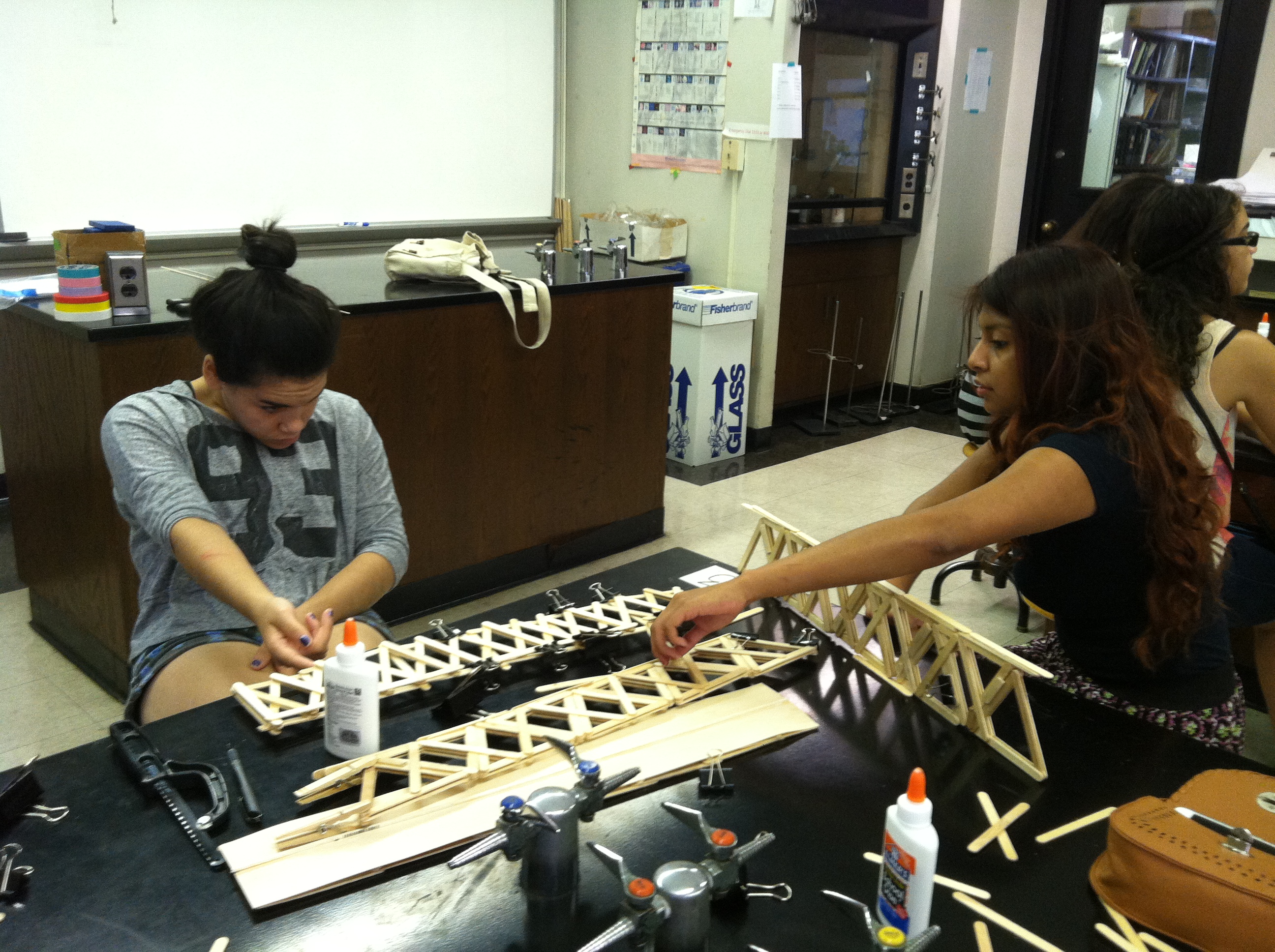Bridge Building Pictures | Baruch Step Bridges 2013